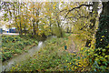 The Markeaton Brook