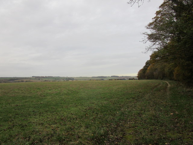 Farm track to Waterloo Farm