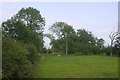 SJ6159 : Field, Calveley Green Farm by Richard Webb