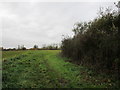 Footpath from Aisby to Oasby