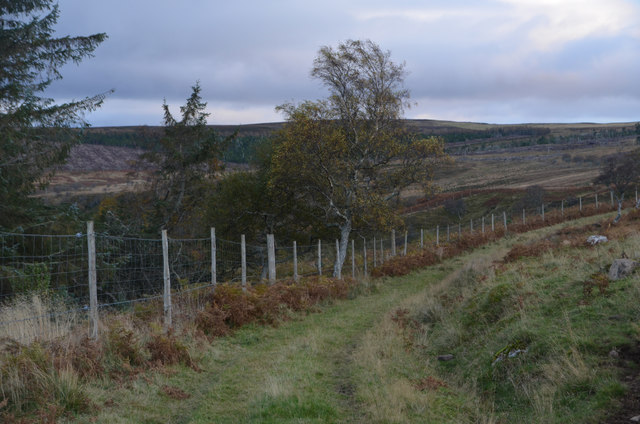 Track on the Langwell Estate, Caithness