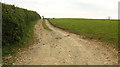 Footpath to Newhouse Farm