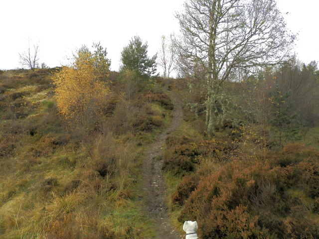 Woodland path on Littlemill Esker Trail