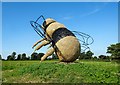 SJ6254 : The Snugburys Bee by Jeff Buck