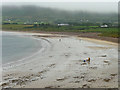 Q3800 : Ceann TrÃ¡ Beach, Dingle Bay by David Dixon