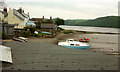 Estuary shore at Bere Ferrers