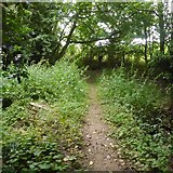 SO6158 : Path, Butterley by Richard Webb