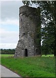 S4747 : Turret type tower at Burnchurch Castle, Burnchurch, Co. Kilkenny by P L Chadwick