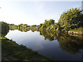 Aire and Calder Navigation near Swillington