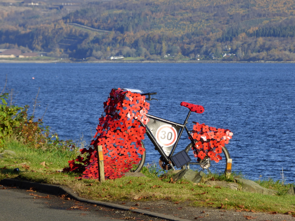 poppy bike kmart