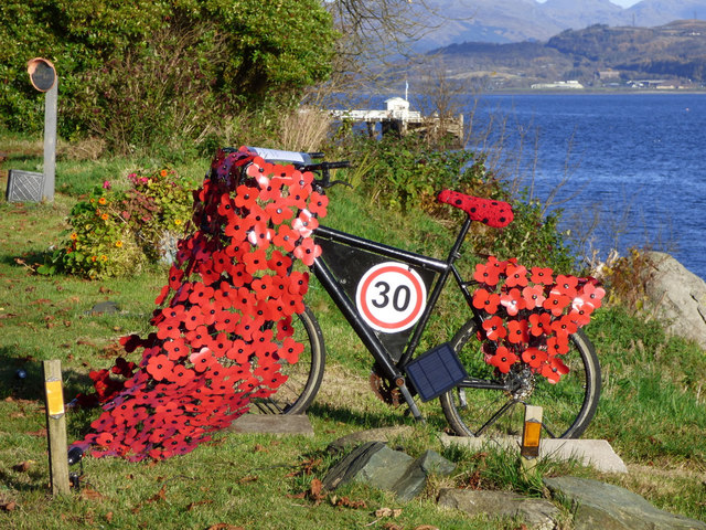 poppy bike kmart