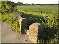 Footpath to Dunford House