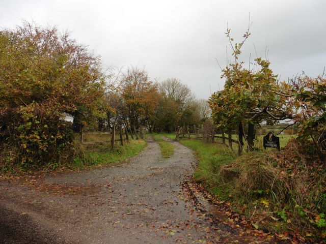 Track to Middle Whitstone