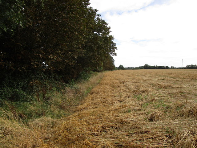 Field edge near Barnack