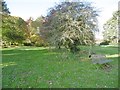 Sandleheath Common