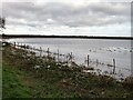 TL2799 : November flooding on Whittlesey Wash - The Nene Washes by Richard Humphrey