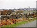 Wall and Grouse beside the Muggleswick road