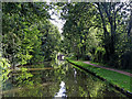 Staffordshire and Worcestershire Canal near Stafford