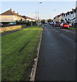 Grass strip on the west side of Station Road, Rhoose