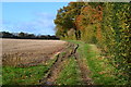 Autumnal field edge near Middleton