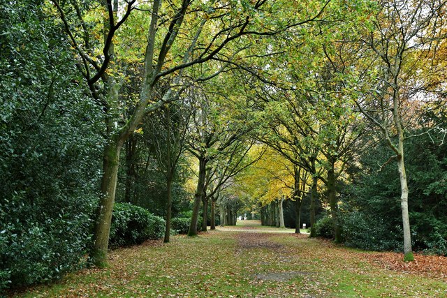 Blickling Park: Avenue of trees © Michael Garlick cc-by-sa/2.0 ...