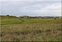 NT4799 : Earlsferry Links Golf Course by Bill Kasman
