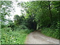 Track to Cockleford Farm