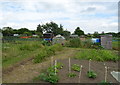 Allotments, Stratton