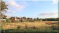 Meadow near Stafford