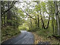 The road down to Comb Bridges