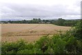 Wheat, Credenhill