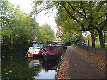 TQ3583 : The Regent's Canal alongside Victoria Park by Marathon
