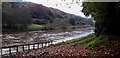 The River Wye North of Lower Redbrook