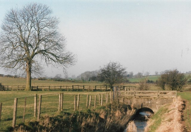 A tributary of Rearsby Brook