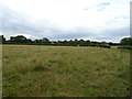 Grassland near South Cerney