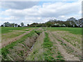 Footpath and ditch towards A129 Rayleigh Road