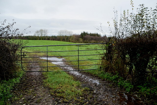 Muddy entrance to field, Eskermore
