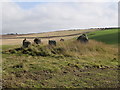 South Ythsie stone circle