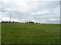 Grassland, Bremhill Bridge