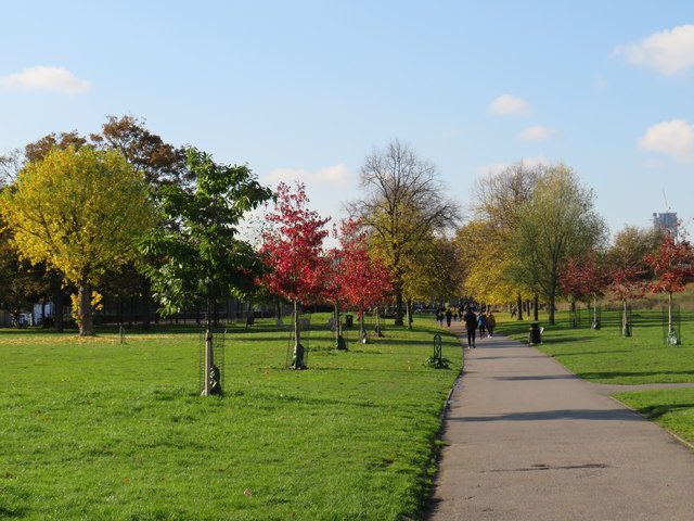Autumn in Burgess Park, near Camberwell