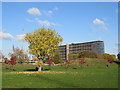 TQ3277 : Autumn in Burgess Park by Malc McDonald