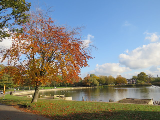 Autumn in Burgess Park