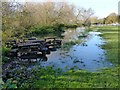 Migrating picnic tables, Gunthorpe