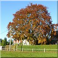 Alchemy at Gunthorpe - copper transmuting to gold