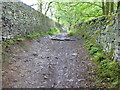 The Pennine Bridleway near Birch Vale