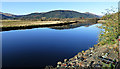 The River Eachaig