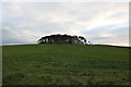 Farmland at Wee Macnairston