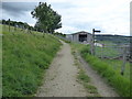 The Pennine Bridleway near Holly Grove