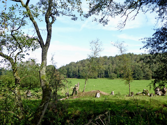 Pasture and woodland north-east of Consall, Staffordshire