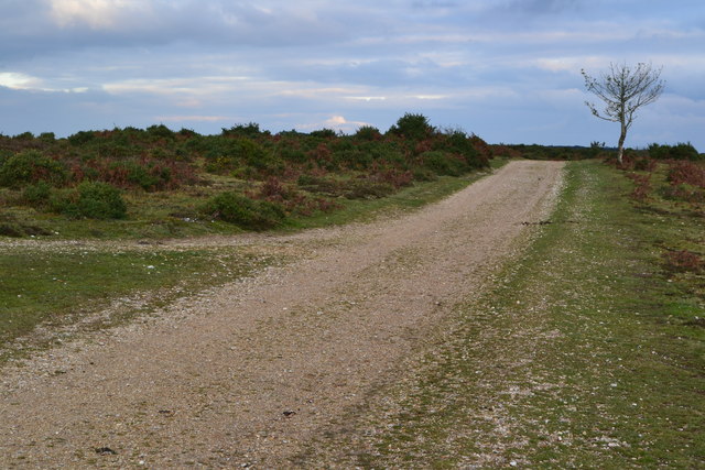 Track on Hampton Ridge © David Martin cc-by-sa/2.0 :: Geograph Britain ...